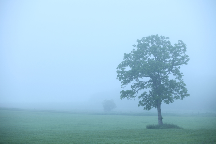 Image of North-Hokkaido 002